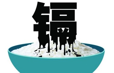 大米鎘超標